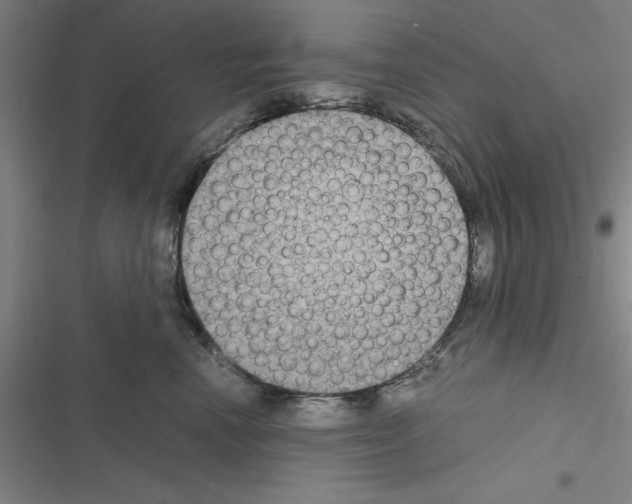 X0000116580666201001211306