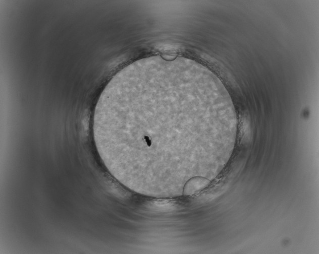 X0000116580668201001211306