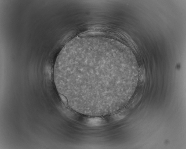 X0000116580669201001211306