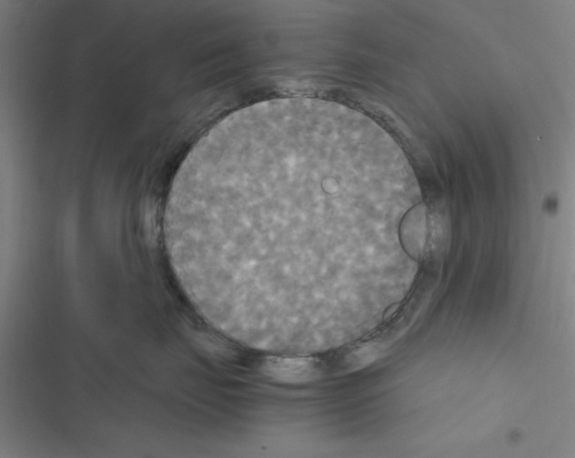 X0000116580671201001211306