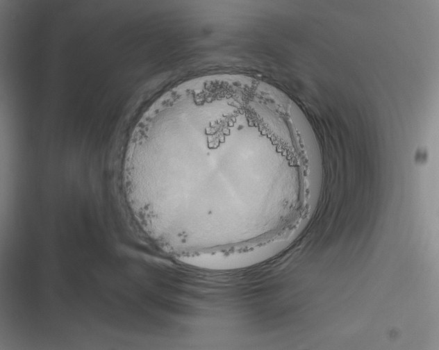 X0000116580672201001211306