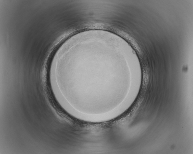 X0000116580674201001211305