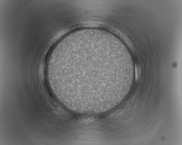 X0000116580675201001211305