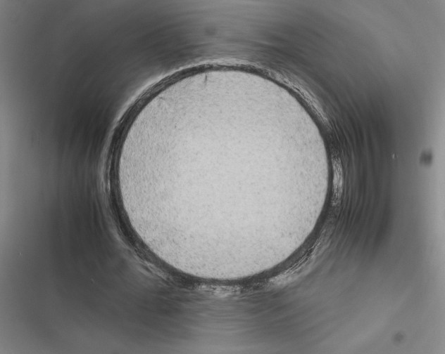X0000116580676201001211305