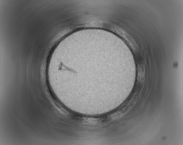 X0000116580677201001211305