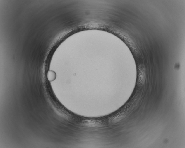 X0000116580678201001211305