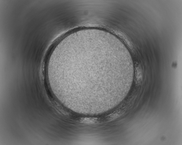 X0000116580680201001211305