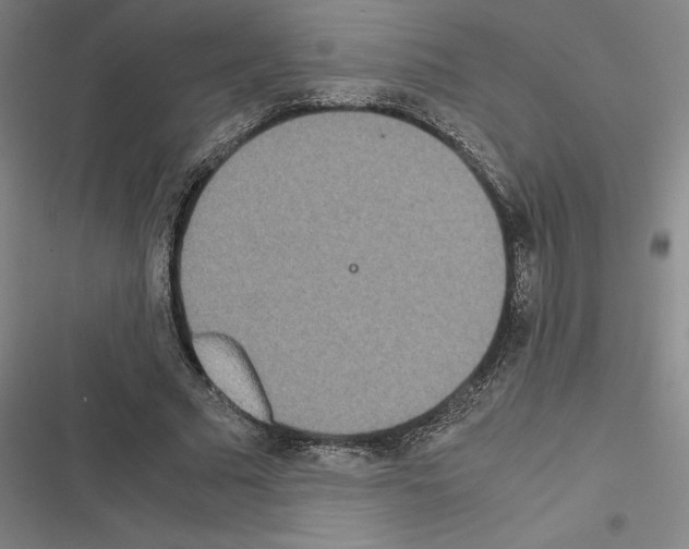 X0000116580681201001211305