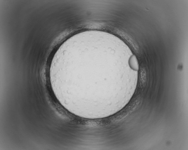 X0000116580682201001211305