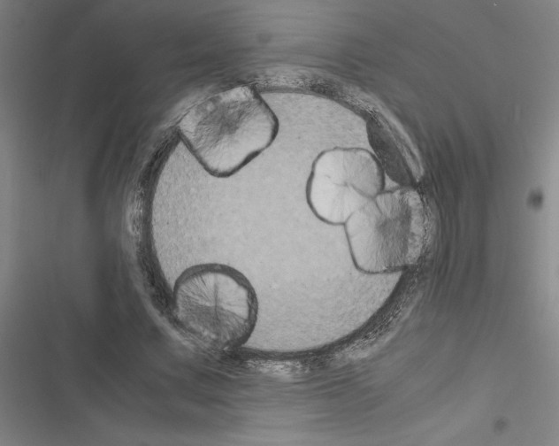 X0000116580683201001211305