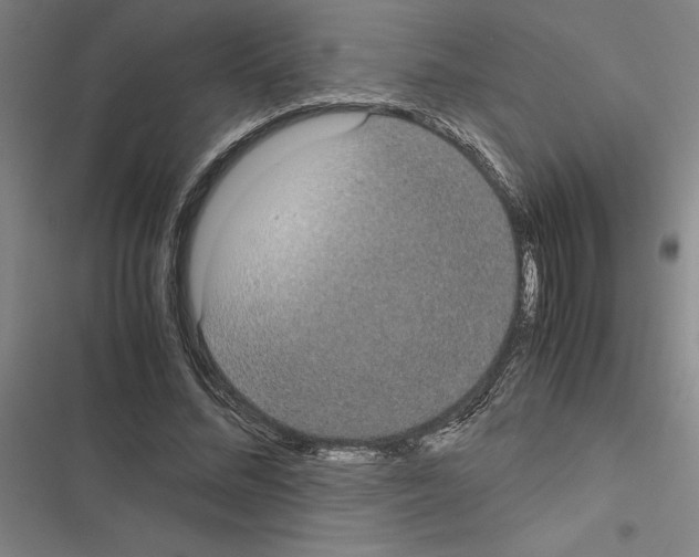 X0000116580684201001211305