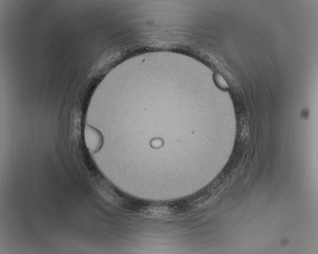 X0000116580685201001211305