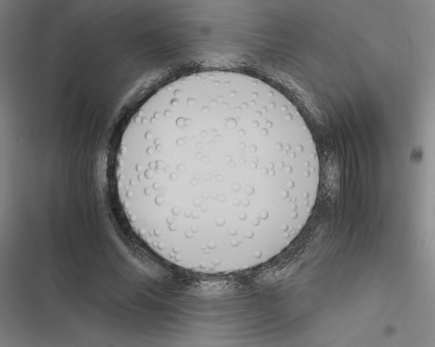 X0000116580686201001211305