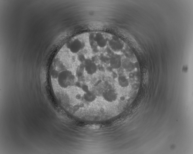X0000116580687201001211305