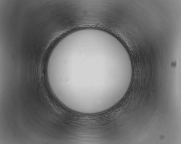 X0000116580688201001211305