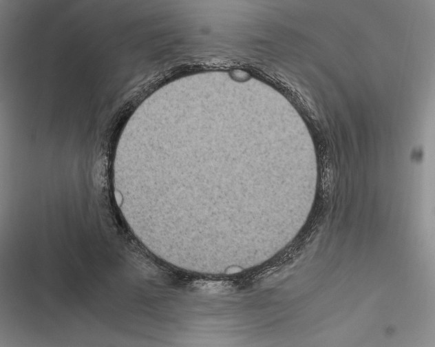 X0000116580689201001211305