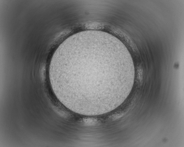 X0000116580690201001211305