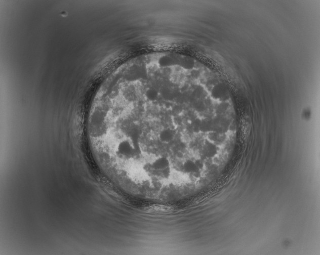 X0000116580691201001211305