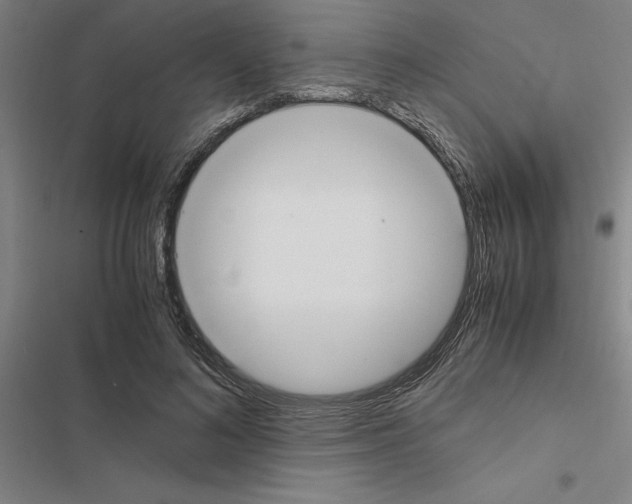 X0000116580692201001211305