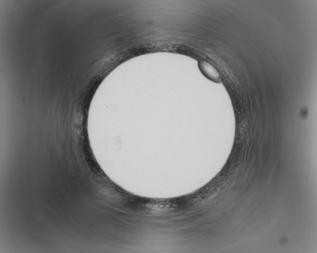 X0000116580693201001211305
