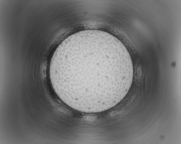 X0000116580694201001211305