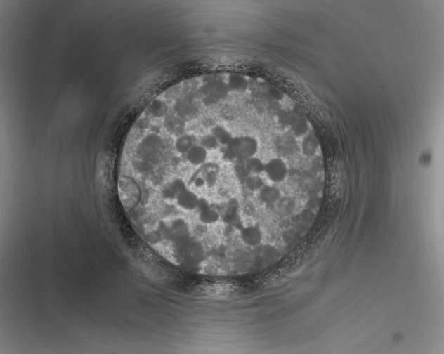 X0000116580695201001211305
