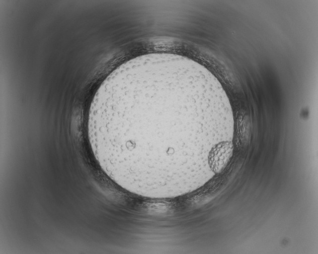 X0000116580698201001211305