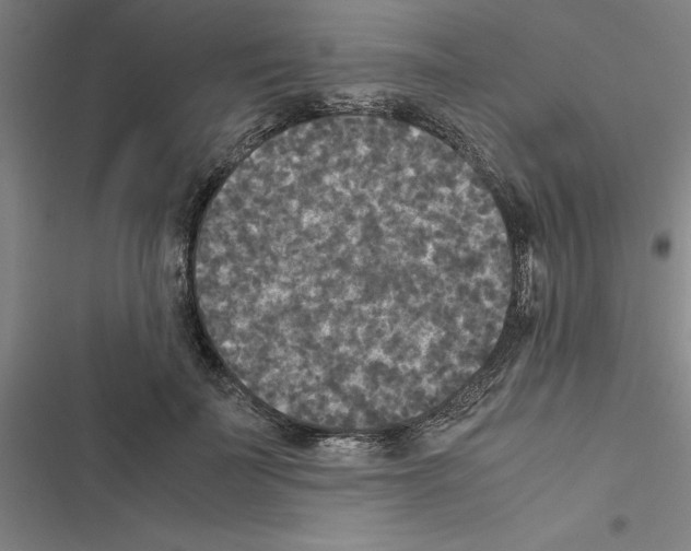 X0000116580699201001211305