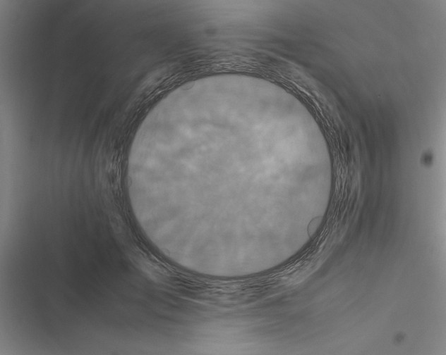 X0000116580701201001211305