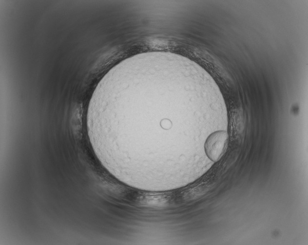 X0000116580702201001211305