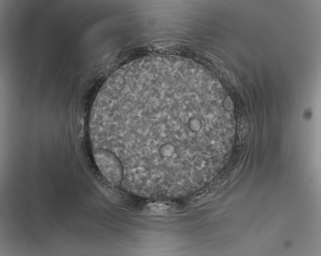 X0000116580703201001211305