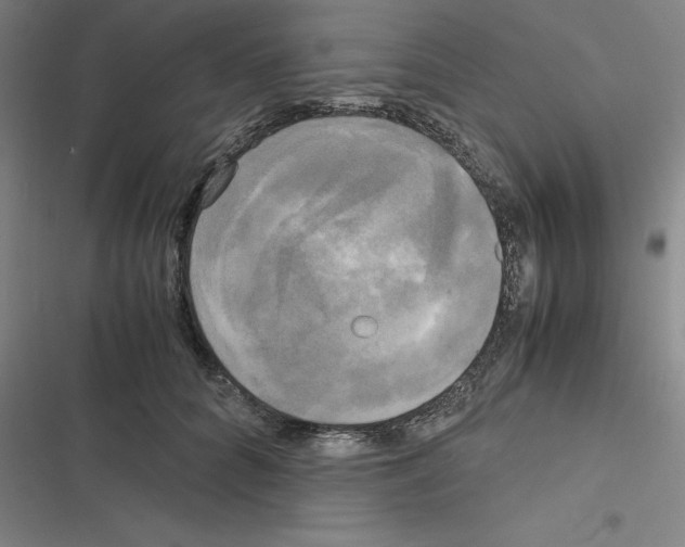 X0000116580704201001211305