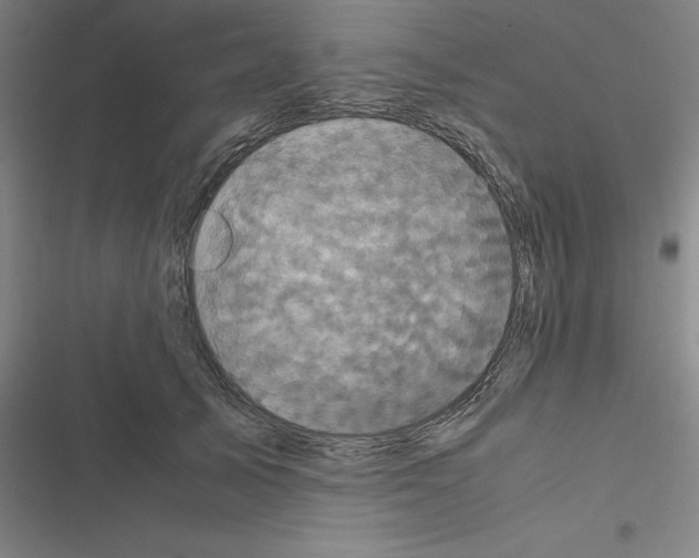 X0000116580705201001211305