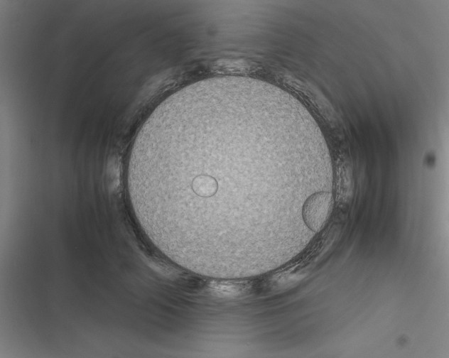 X0000116580706201001211305