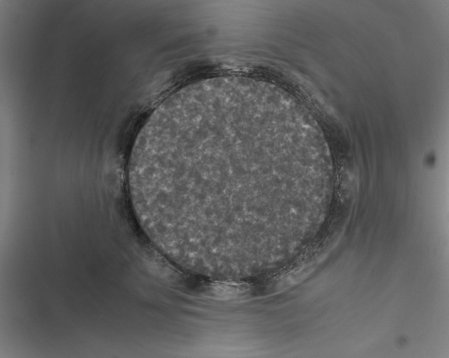 X0000116580707201001211305