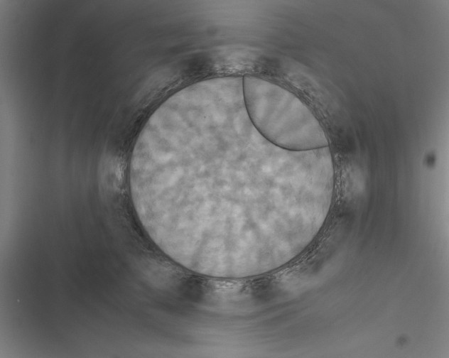 X0000116580709201001211305