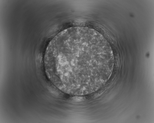 X0000116580711201001211304
