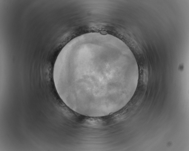 X0000116580712201001211304