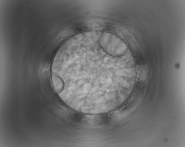 X0000116580713201001211304