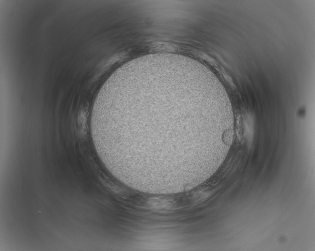 X0000116580714201001211304
