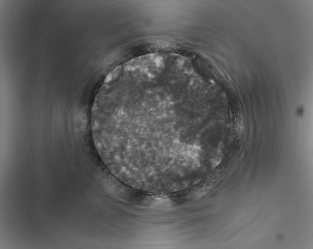 X0000116580715201001211304