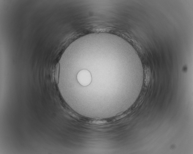 X0000116580716201001211304