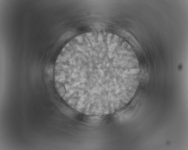 X0000116580717201001211304