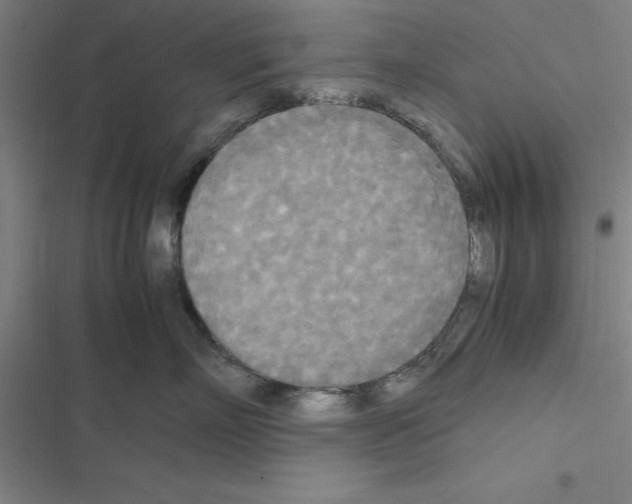 X0000116580718201001211304