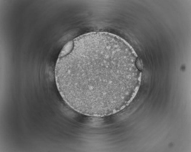 X0000116580719201001211304