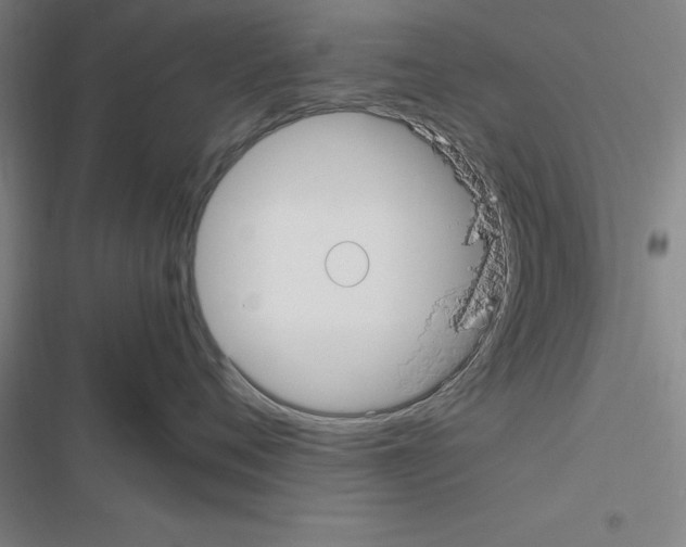 X0000116580720201001211304