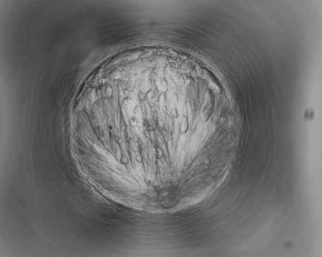 X0000116580721201001211304