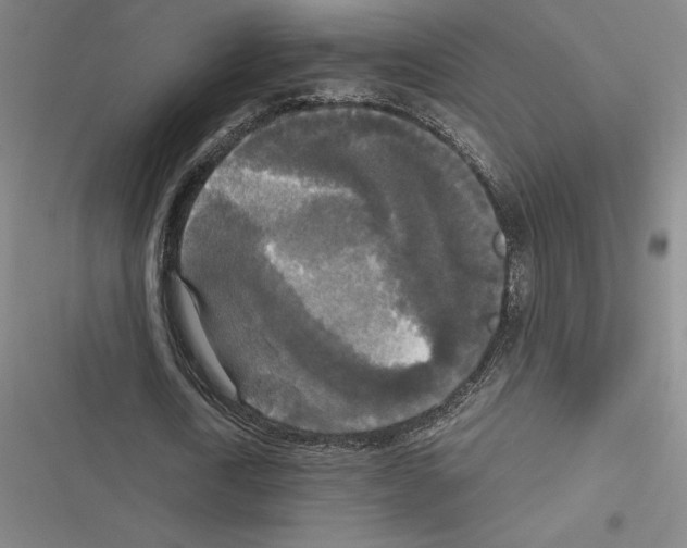 X0000116580722201001211304