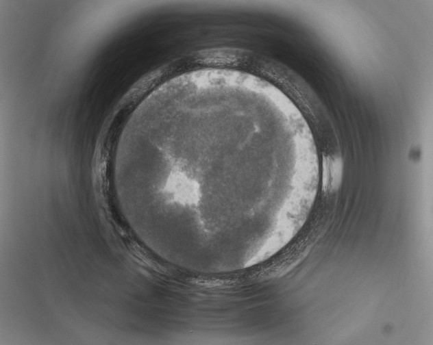 X0000116580723201001211304