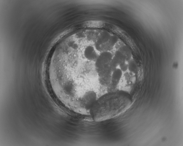X0000116580725201001211304